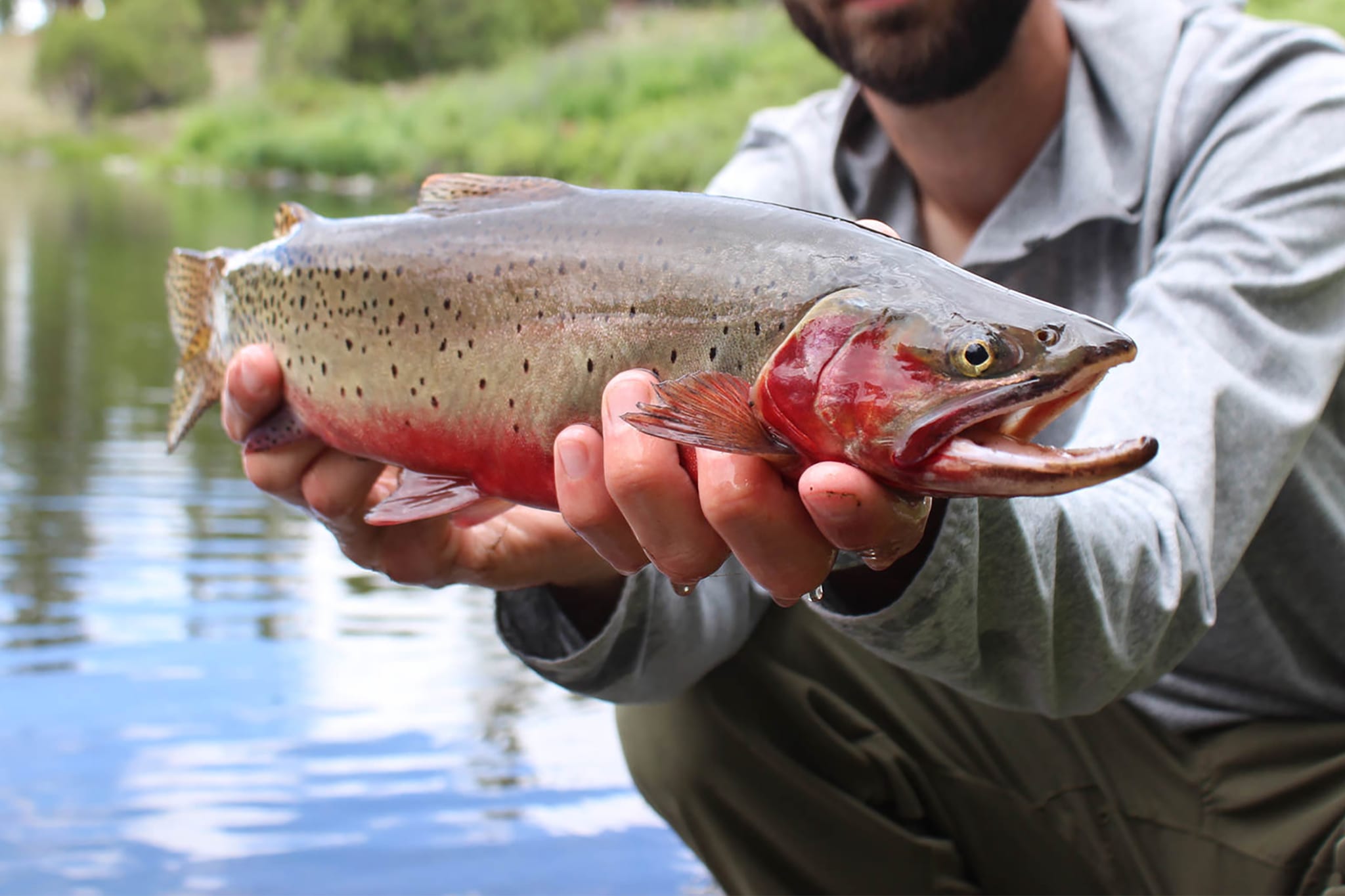 5 Best Backcountry Fly Fishing Lakes in Estes Park Colorado Blog